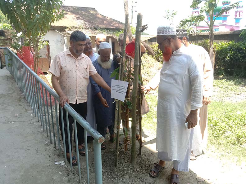 জলবায়ু পরিবর্তন ও সচেতনতামূলক কার্যক্রম (বৃক্ষরোপন)