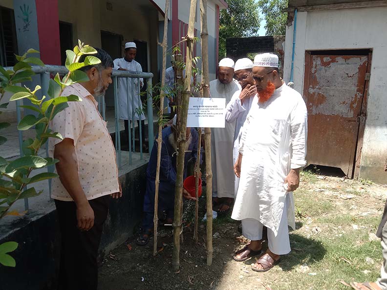 জলবায়ু পরিবর্তন ও সচেতনতামূলক কার্যক্রম (বৃক্ষরোপন)