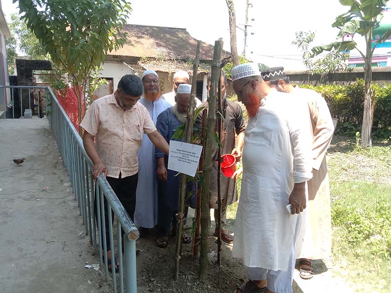জলবায়ু পরিবর্তন ও সচেতনতামূলক কার্যক্রম (বৃক্ষরোপন)